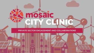 MOSAIC Clinic - Barriers and drivers to engage the private sector in co-creation activities
